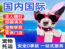 南京禄口机场托运国际宠物托运 【国